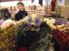 marche_de_noel_2012_exposants-0030